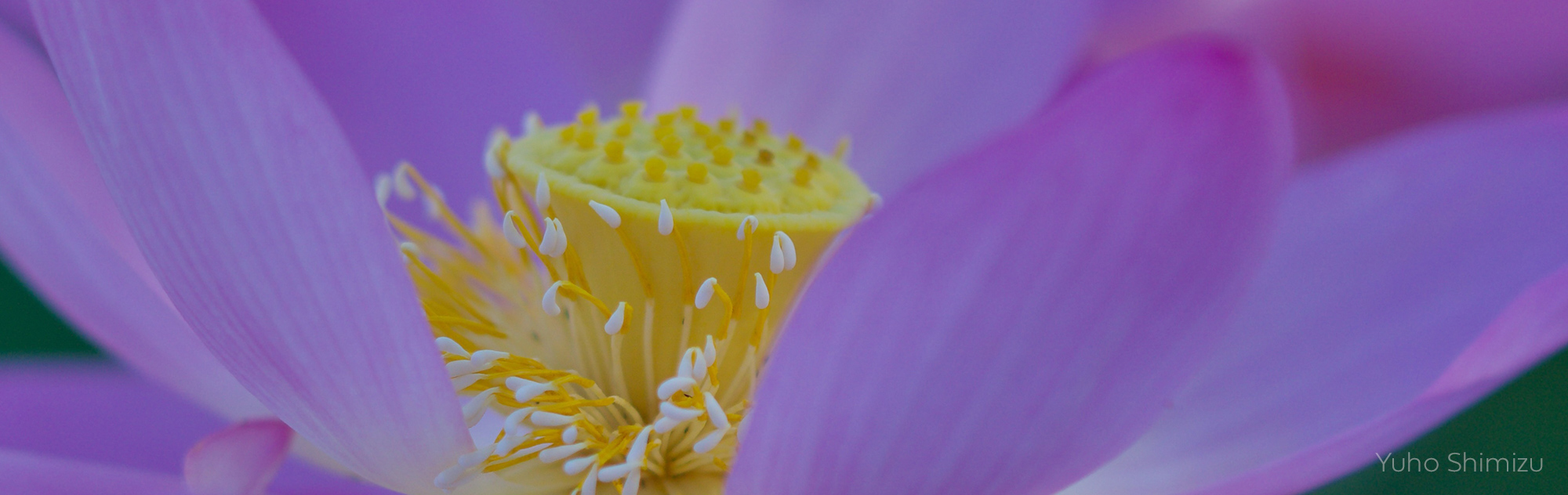 イーハトーブ心身統合研究所